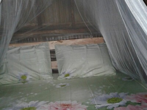 raja ampat sunrise homestay - Gallery - 3