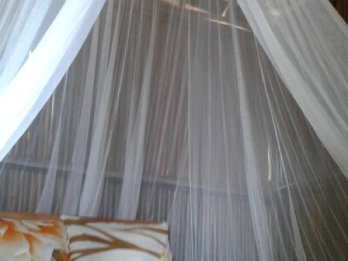 raja ampat sunrise homestay - Gallery - 2