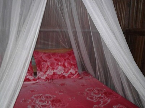 raja ampat sunrise homestay - Gallery - 5