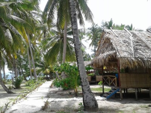 raja ampat sunrise homestay - Gallery - 30