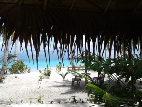 raja ampat sunrise homestay - Gallery - 15