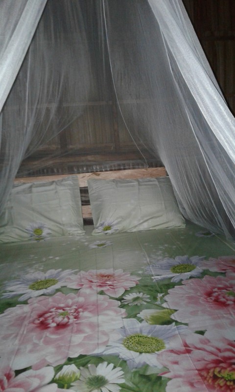 Standard Guest(Single Bed) - 1