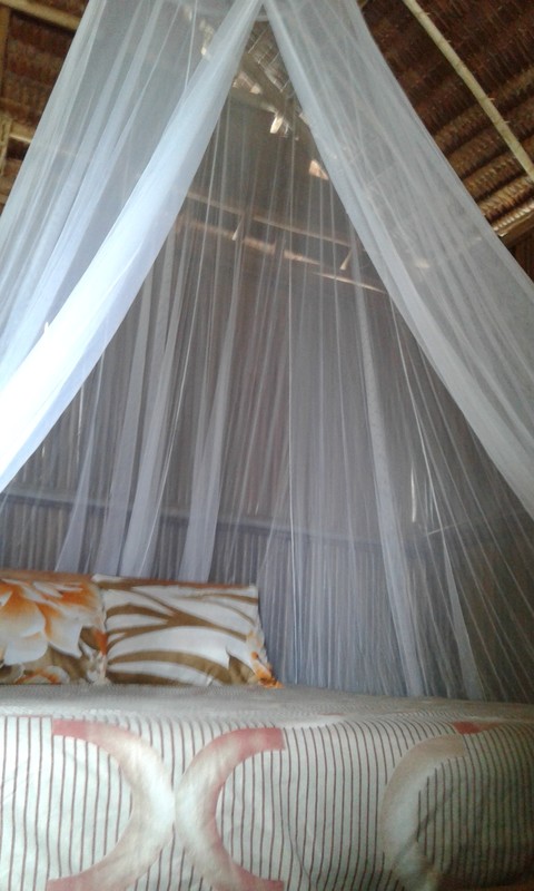 Couple Room(Single Bed) - 1