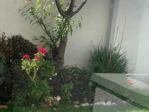 The House in the Valley - Gallery - 7