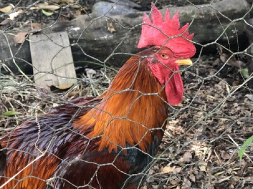 cb14f647647ff53f899a878112d74bea.jpg