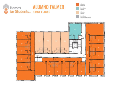 Alumno Falmer - Gallery - 18
