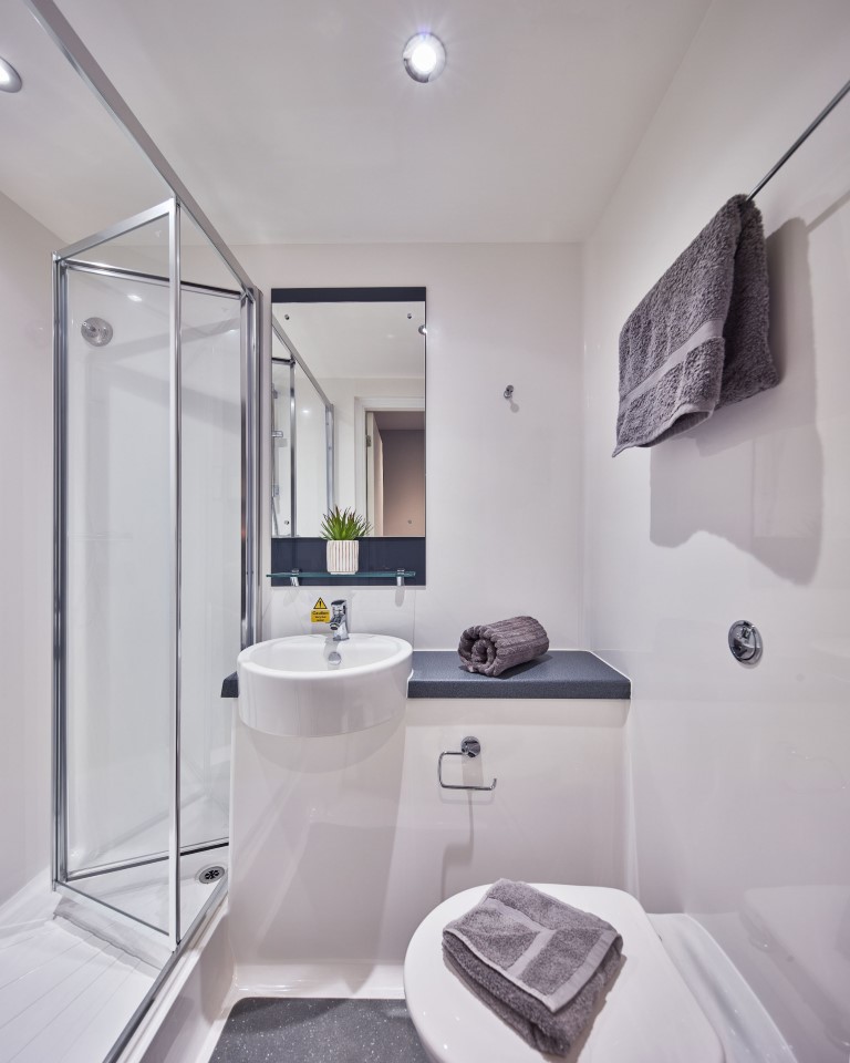  Classic Studio  -  Alumno Falmer  - Gallery -  9