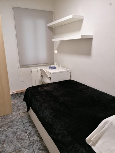 Single bedroom in 3-bedroom apartment
