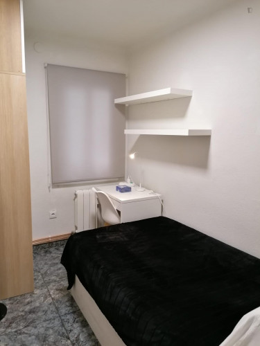 Single bedroom in 3-bedroom apartment