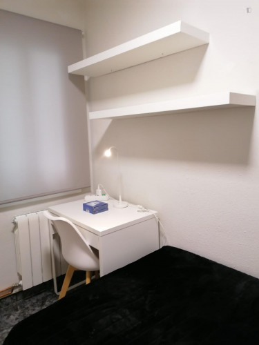 Single bedroom in 3-bedroom apartment