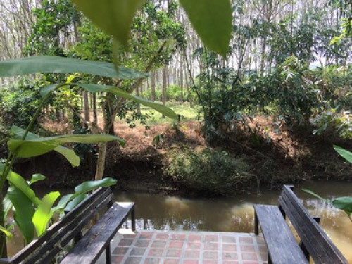 Private rooms by the creek - Gallery - 10