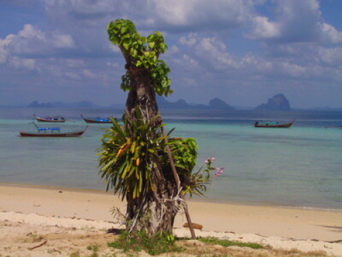 Friendly family in South Thailand - Gallery - 10