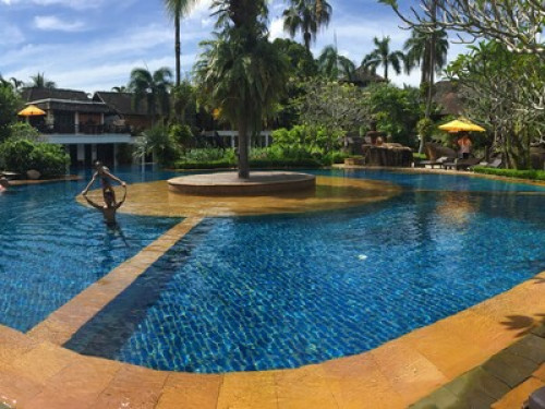 Pineapple Farm - Gallery - 8