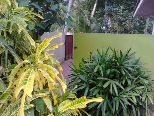 Villa in kovalam  - Gallery - 8
