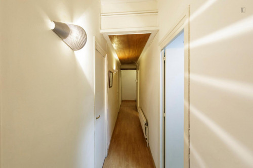 Single bedroom in a student flat, near Ciutat Universitária