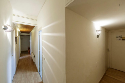 Single bedroom in a student flat, near Ciutat Universitária