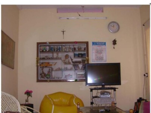 Enjoys learning foreign languages - Gallery - 4