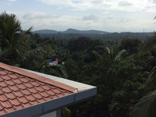 Friendly home stay Host - Gallery - 13