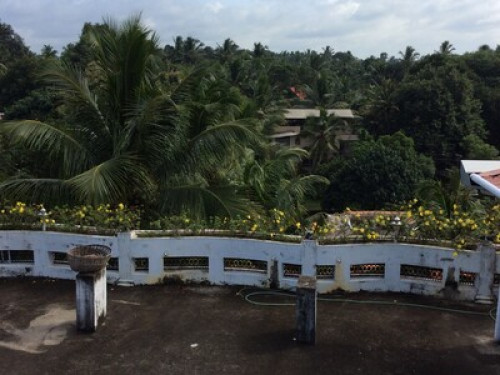 Friendly home stay Host - Gallery - 12