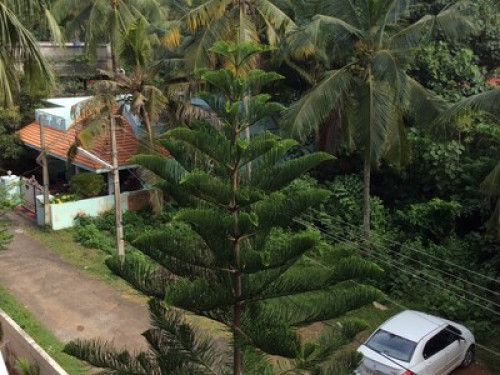 Friendly home stay Host - Gallery - 11