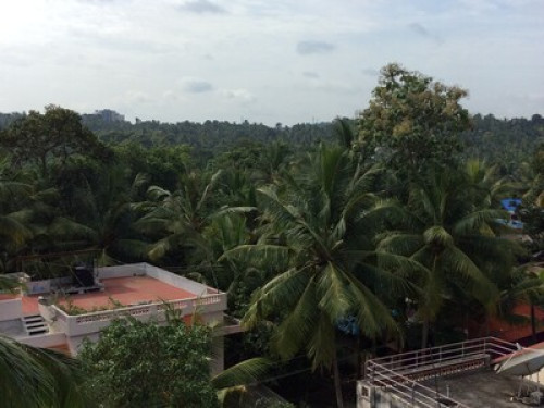 Friendly home stay Host - Gallery - 3