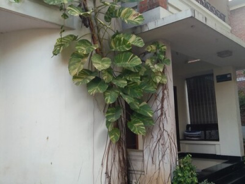 Vilayil Gardens - Gallery - 5