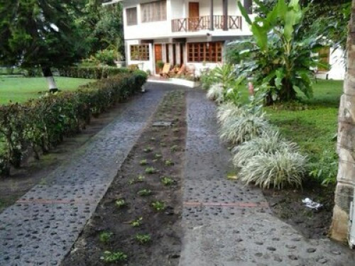 Tropical living in Panama - Gallery - 19