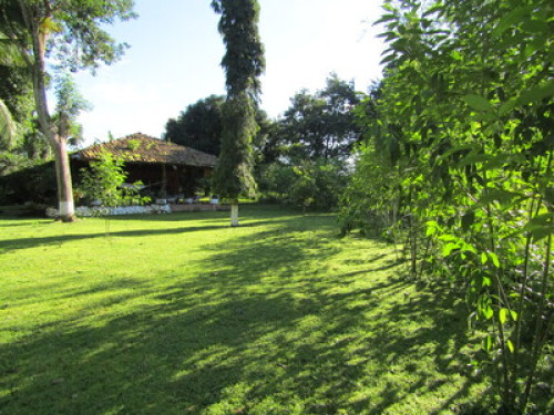 Tropical living in Panama - Gallery - 20