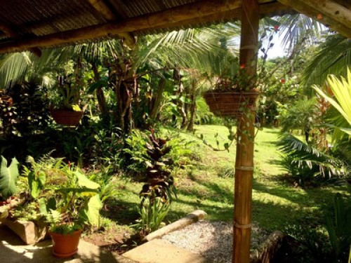 Farm in Puerto Jimenez - Gallery - 11
