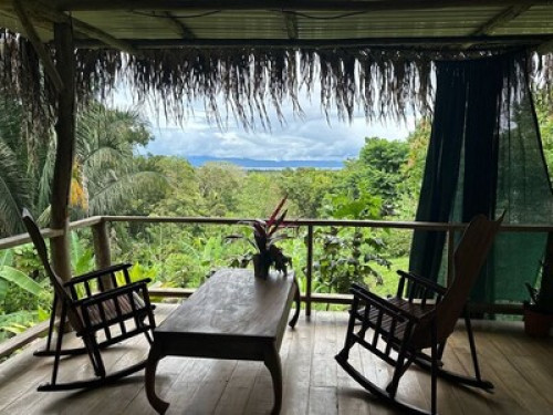 Farm in Puerto Jimenez - Gallery - 17