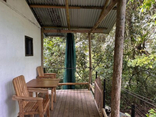 Farm in Puerto Jimenez - Gallery - 9