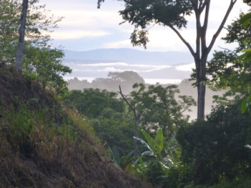 Farm in Puerto Jimenez - Gallery - 15