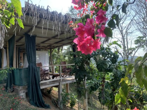 Farm in Puerto Jimenez - Gallery - 5