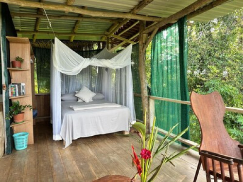 Farm in Puerto Jimenez - Gallery - 3