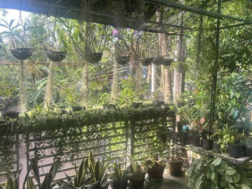 Chaithritha Ladies Only Homestay