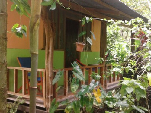 bromeliads Corcovado - Gallery - 12