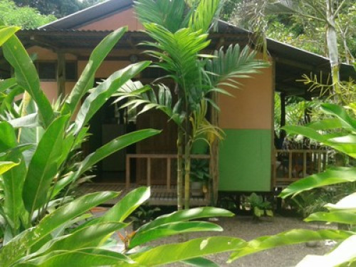 bromeliads Corcovado
