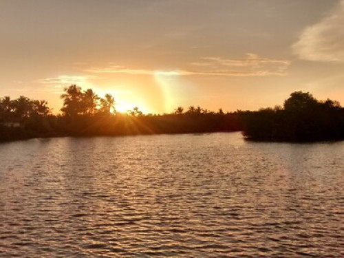 Green Chromide A Riverine Homestay - Gallery - 15
