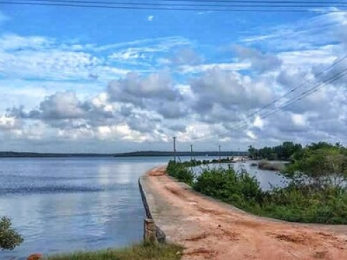 Green Chromide A Riverine Homestay - Gallery - 16