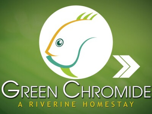 Green Chromide A Riverine Homestay - Gallery - 4