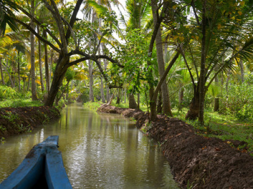 Green Chromide A Riverine Homestay - Gallery - 19