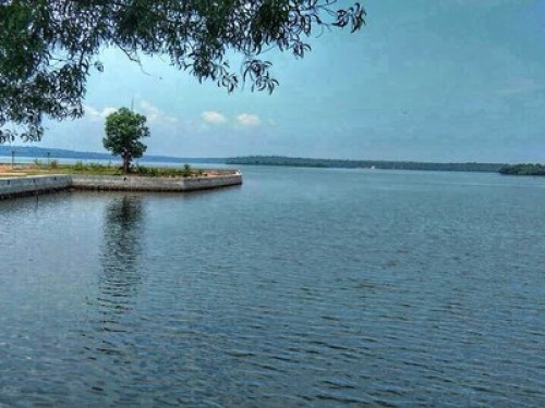 Green Chromide A Riverine Homestay - Gallery - 13