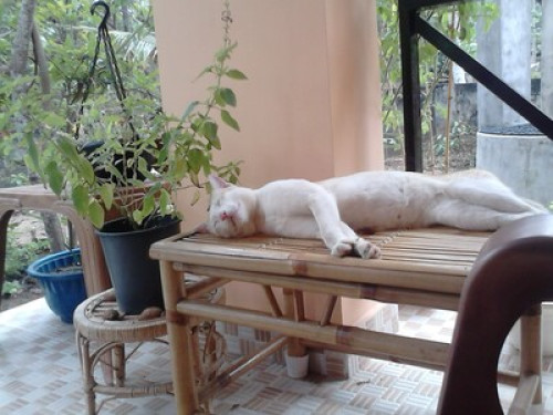Home away from home - Gallery - 34
