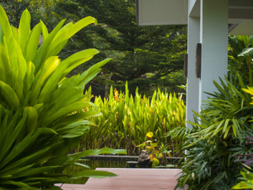Luxury accommodation Thai Riviera - Gallery - 4