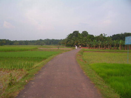 Palamoottil Pandakasala Homestay - Gallery - 7