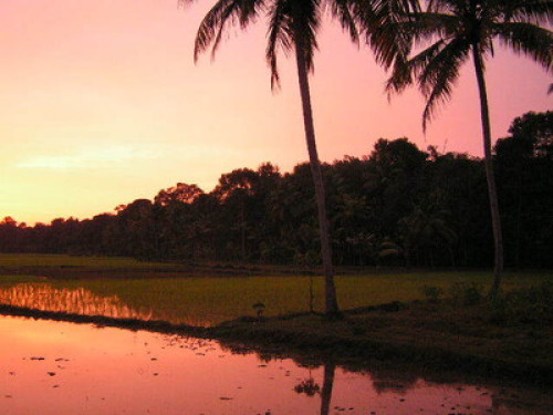Palamoottil Pandakasala Homestay - Gallery - 6