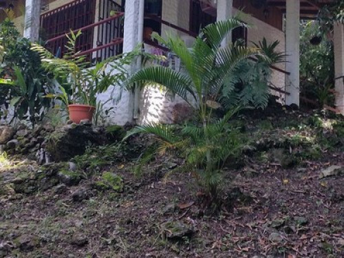 Manuelantoniocomfort house macaow