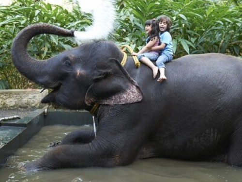 friendly family - Gallery - 10
