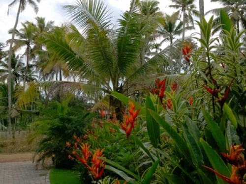 Friendly family in Kumarakom KERALA - Gallery - 10