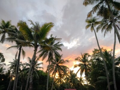 Friendly family in Kumarakom KERALA - Gallery - 12